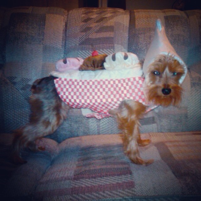 #tbt. because you might need a good laugh.
