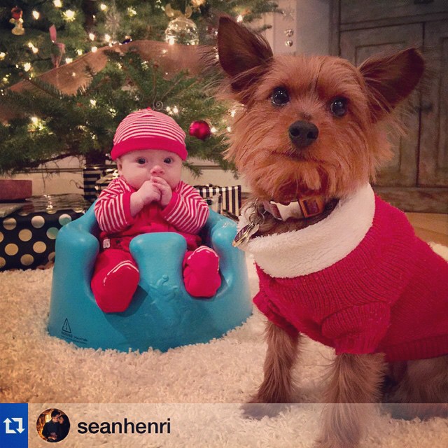 perfect christmas babies ? #gracieandbrian