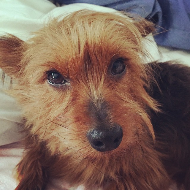 #graciegram