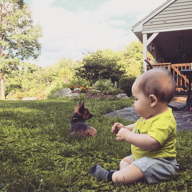#gracieandbrian