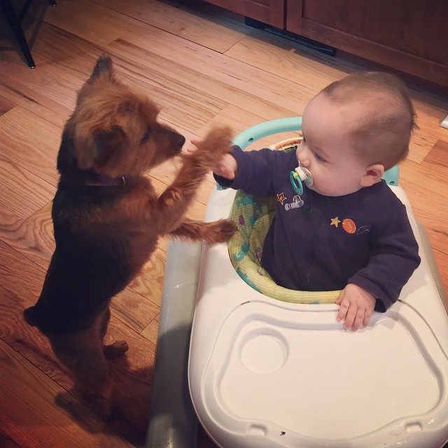 high five! ? #gracieandbrian #bestoffriends