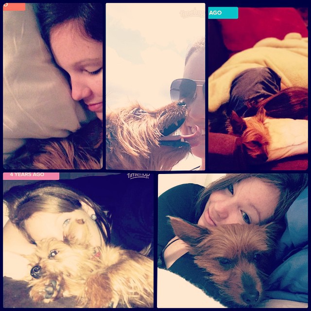 one year ago, two years ago, three years ago, four years ago, this morning. ? #graciegram #timehop