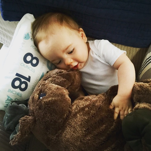 deep conversations and snuggles with a giant stuffed moose