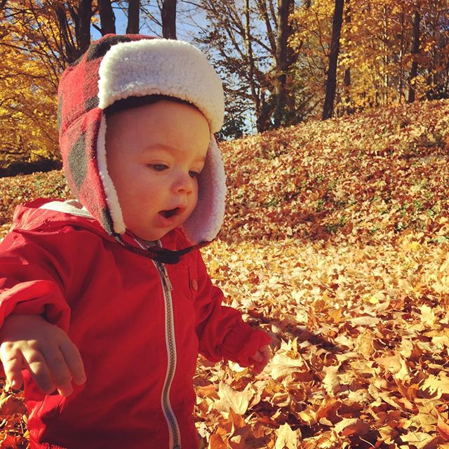 so. many. leaves!