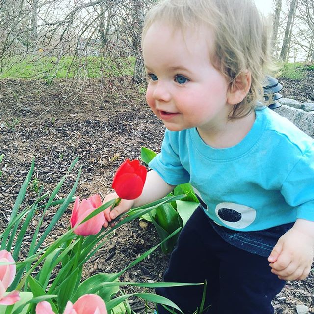stopping to smell the tulips